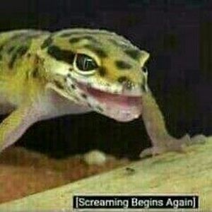 Meet your Posher, Scott